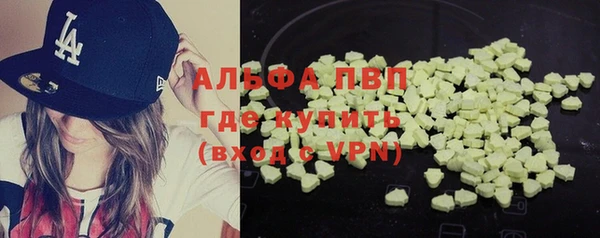 стаф Абинск