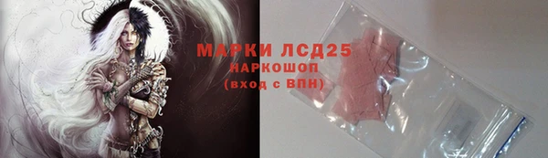 стаф Абинск