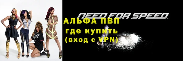 дурь Магас