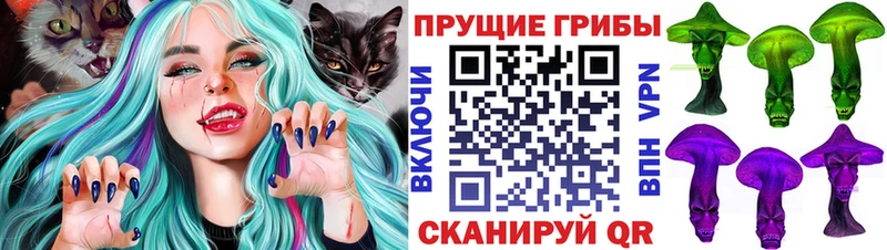 Галлюциногенные грибы Psilocybine cubensis  дарк нет какой сайт  Ярославль 