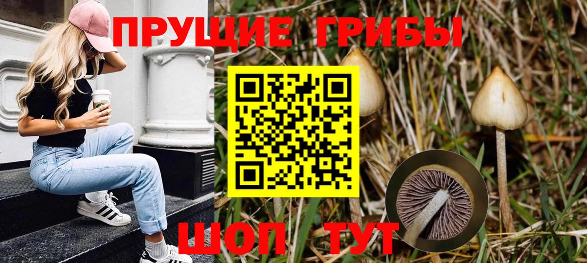 Галлюциногенные грибы мухоморы Ярославль