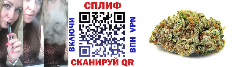 Каннабис планчик  блэк спрут   Ярославль 